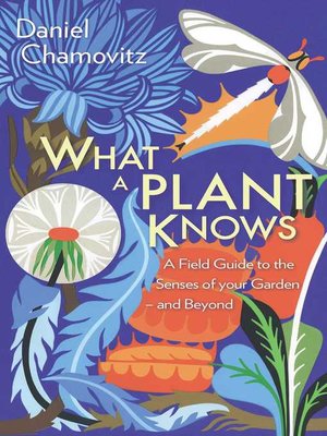 cover image of What a Plant Knows: a Field Guide to the Senses of Your Garden--and Beyond